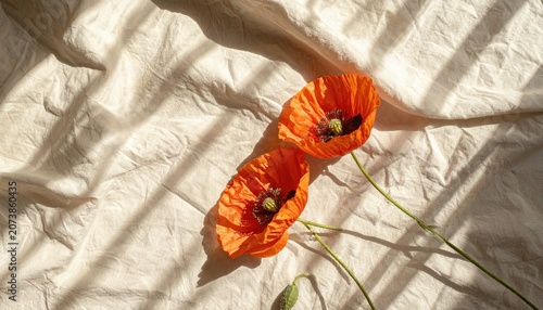 Vibrant Orange Poppies Bloom Under Soft Sunlight on Textured Fabric.