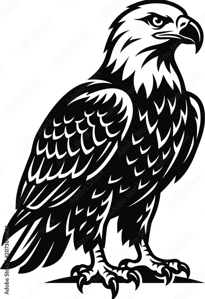 Fototapeta premium Black Eagle Bird Mascot Illustration with Detailed Feathers Vector Design