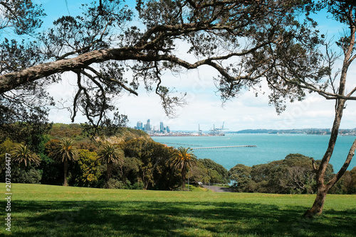 Auckland, New Zealand: scenic landscape of Waitemata Harbour and city center skyline framed by old Pohutukawa tree branches from green hilltop park.