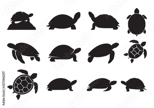 Turtle and Tortoise Silhouettes Vector Set – Sea Turtle and Reptile Icons