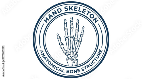 Фотография Anatomical illustration of human hand skeleton.