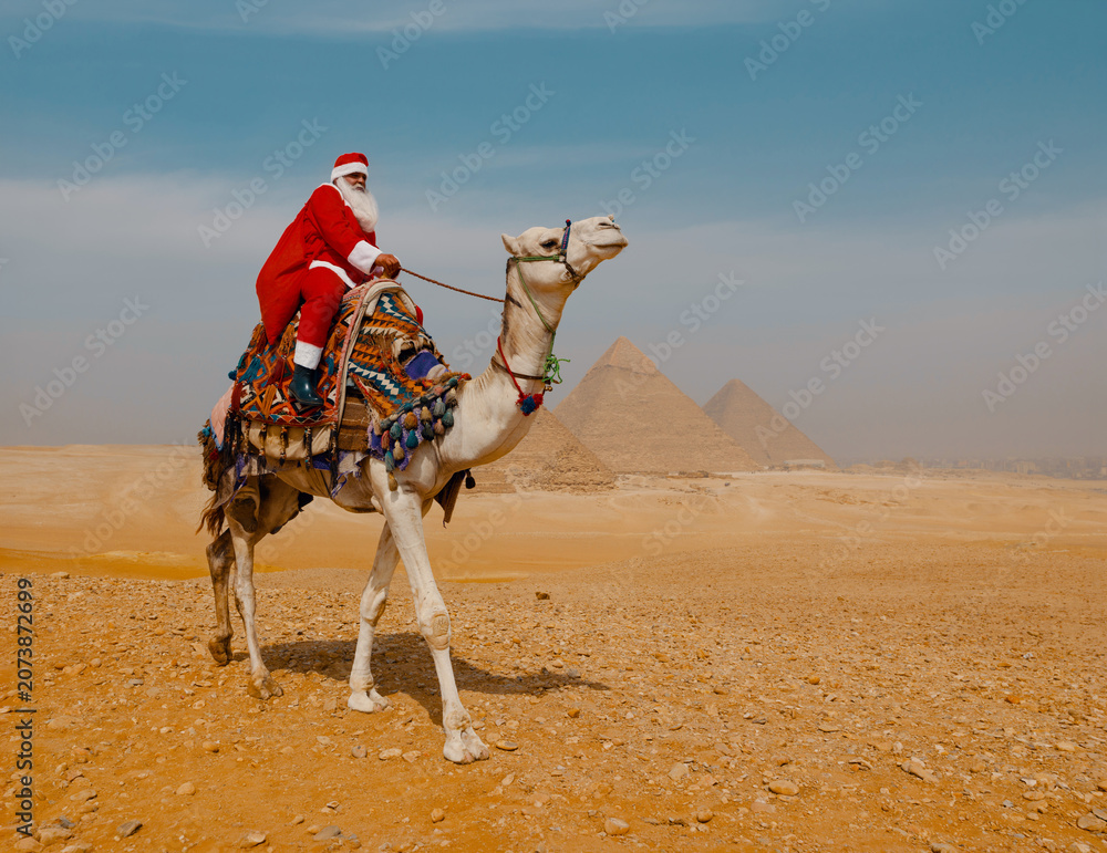 Fototapeta premium Festive Santa Claus rides a colorfully decorated white camel through the desert before the iconic Giza pyramids in Egypt ideal for quirky Christmas
