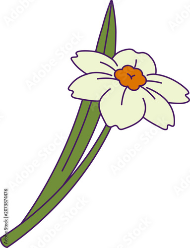 Foto Cartoon Daffodil