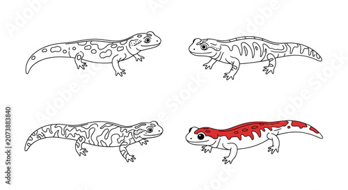 Obraz na plátně Reptile and amphibian lizard line art icons set.