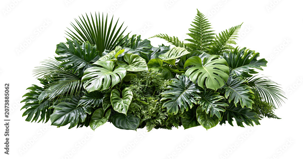 Fototapeta premium Tropical green foliage leaves bundle isolated on transparent