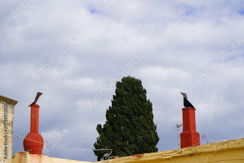 Canvastavla Two bright red traditional chimneys with metal cowls flank a tall green cypress tree against a cloudy sky on a rooftop in Crete
