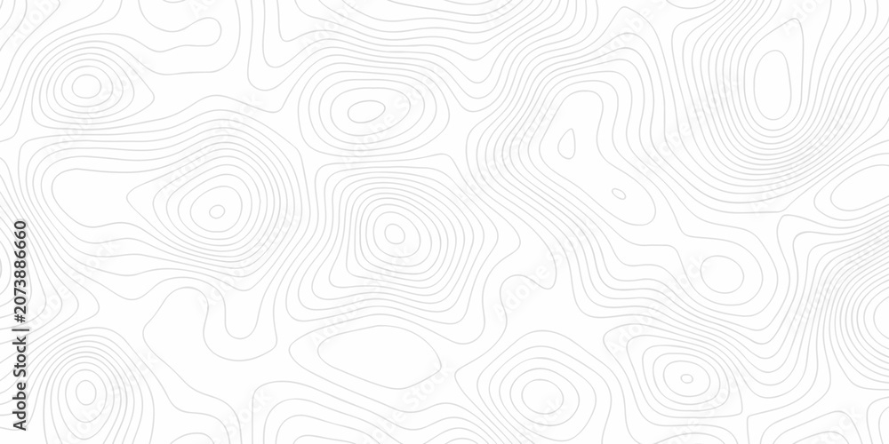 Obraz premium Minimal white landscape topography map area wallpaper. minimal topo paper lines. Topographic contour lines grid map fabric pattern. Geographic mountain relief. Contour hiking design.