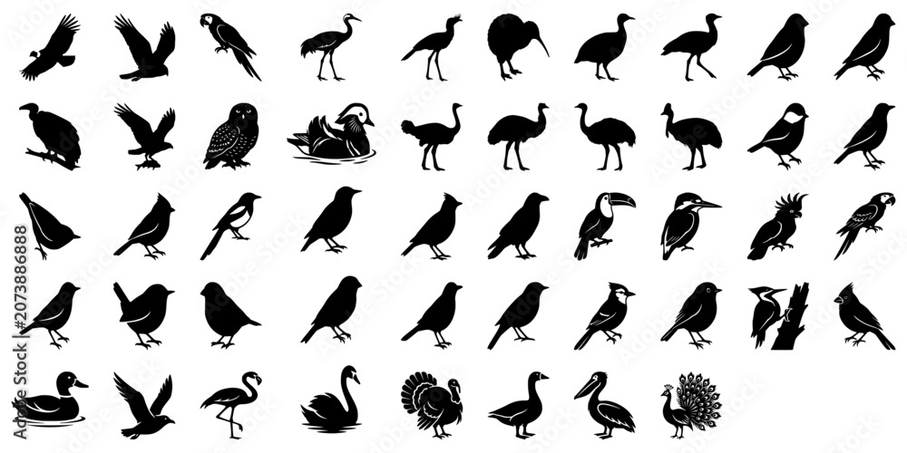 Fototapeta premium Bird Silhouette Bundle – Wildlife Bird SVG Vector Collection