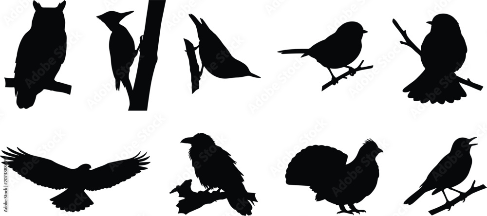 Fototapeta premium Bird silhouette icons with owl, crow, songbirds and turkey posesBird silhouette icons with owl, crow, songbirds and turkey poses