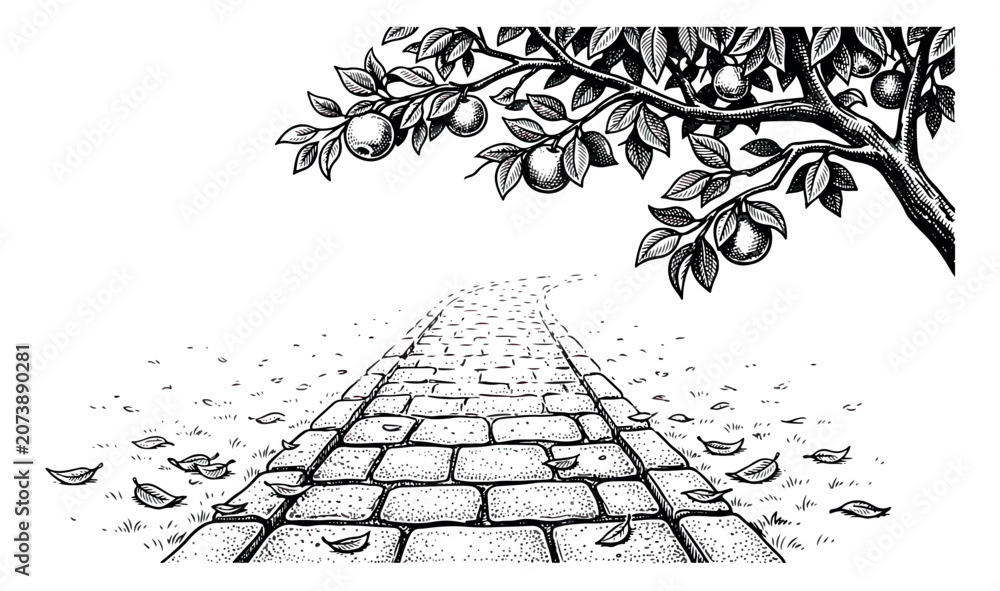 Naklejka premium Vintage woodcut garden path illustration, hand drawn apple tree branch with fruit, rustic stone walkway in orchard, black and white engraving vector