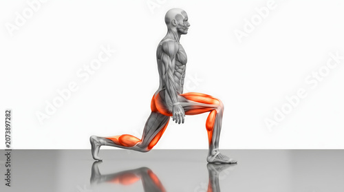 Anatomical 3D illustration of a male figure performing a lunge exercise, highlighting the active leg muscles in orange on a white background
