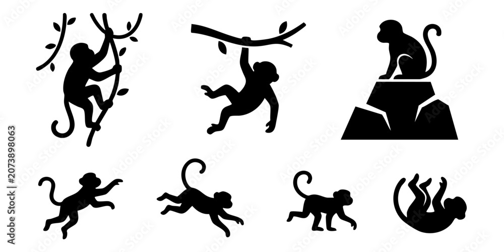 Fototapeta premium Monkeys are jumping and playing on tree branches and rocks outside.