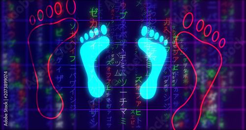 Quadro su tela Glowing human digital footprints on falling matrix rain