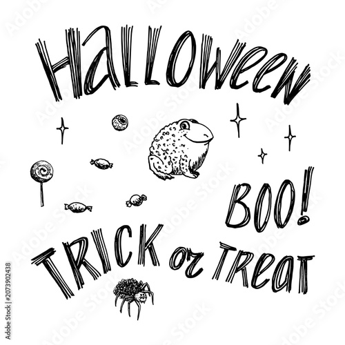 Black and white Halloween lettering. A hand drawn monochrome set with a toad, an eye, and candy in a simple, childlike style in EPS format. Doodles for a Halloween party, greeting card and wrapper.