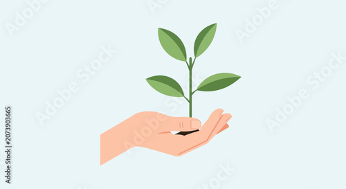 Hand Holding Green Plant Vector Illustration
