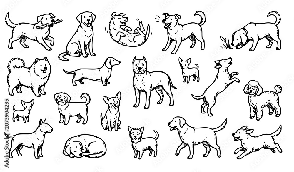 Fototapeta premium Cute Hand Drawn Dog Breed Doodle Pack with Playful Puppy Sketches Vector Collection