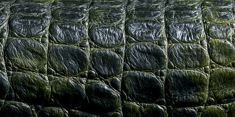 Extreme macro close-up of dark green crocodile leather texture showing detailed interlocking scales and glossy reptilian skin