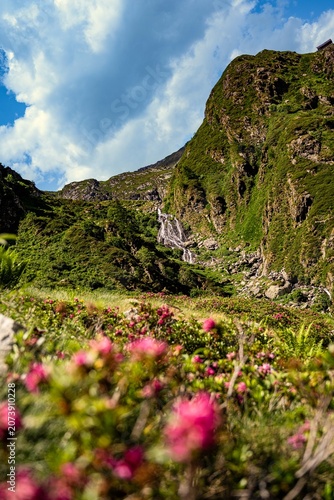 mountain landscape with flowers and waterfall
