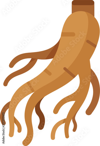 Flat of a brown ginseng root with multiple branching tendrils, isolated on a plain white background, herbal medicine