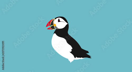 Photos Atlantic puffin profile with colorful beak on blue.