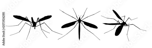 A set silhouettes of big mosquitoes.
