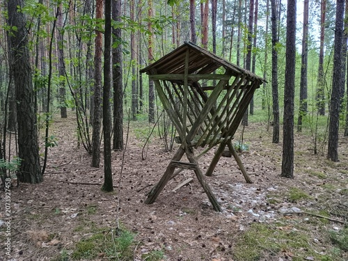 Canvas-taulu Panning shot of a rustic wooden moose feeder in the woods