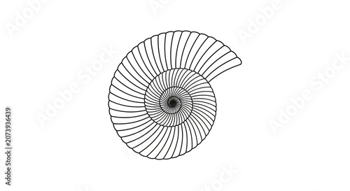 Black line art spiral seashell on white background