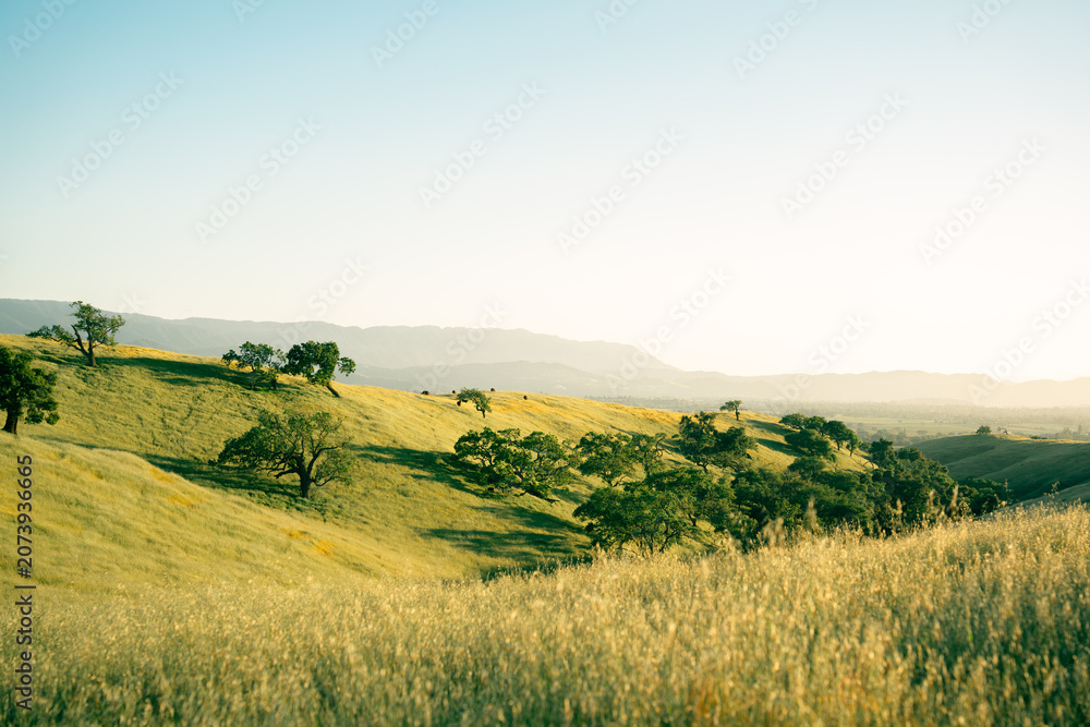 Fototapeta premium landscape- Santa Ynez Valley Ca