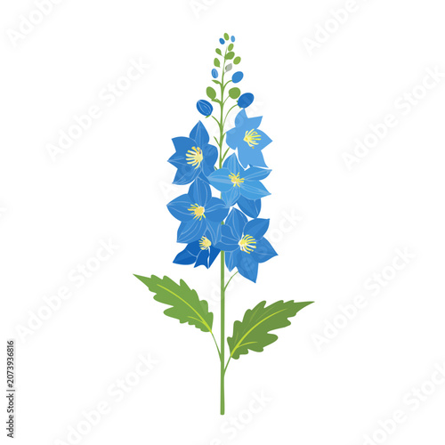 Blue Bellflower Vector Illustration