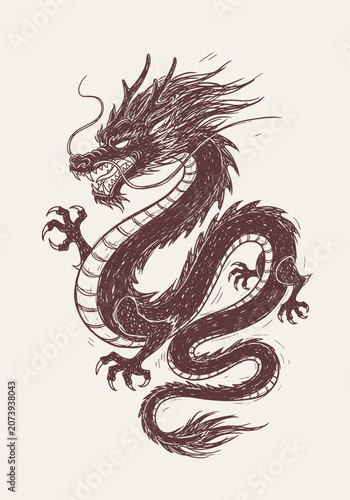 Chinese dragon vector illustration with detailed scales and claws on a light background, hand drawn brown line art style