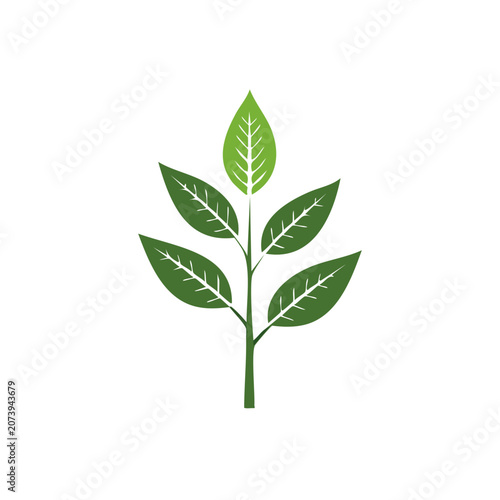Green Leaf with Stem Vector Illustration