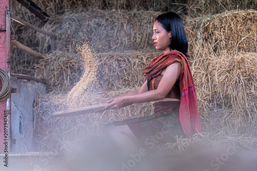 A woman cleaning the paddy before milling. An Asian woman to work. A Grain separation in farm.