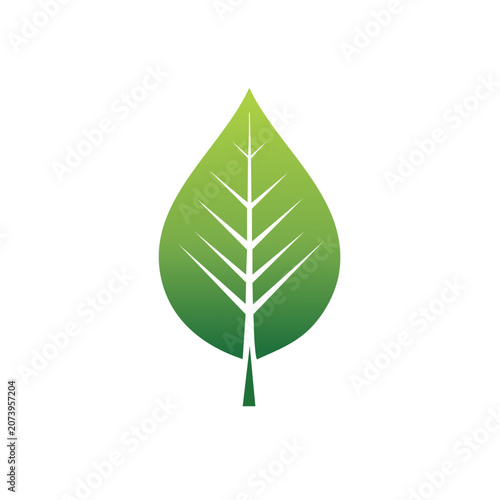 Green leaf vector icon with veins and stem