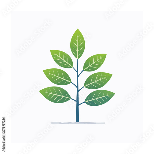 Green plant with leaves on white background