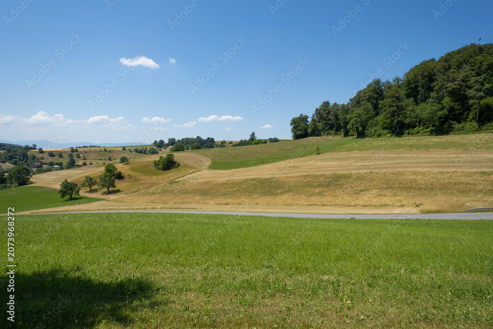 Fototapeta premium The beautiful landscape of the canton of Lucerne. Its well-kept nature with meadows and snakes and roads that cross it.
