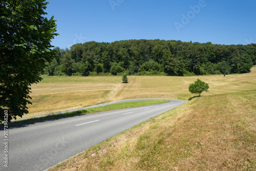 The beautiful landscape of the canton of Lucerne. Its well-kept nature with meadows and snakes and roads that cross it.