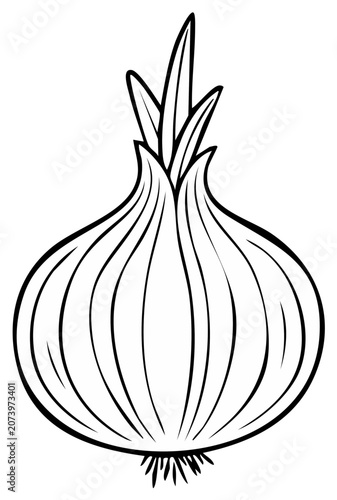 Onion Line Art Outline Illustration Food Ingredient Culinary Herb Vegetable Nutrition Fresh Produce Gardening Cooking