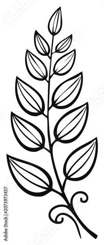 Black and white hand drawn plant branch illustration