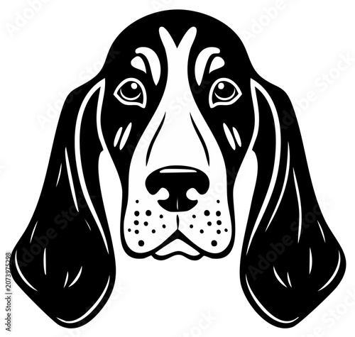Basset Hound dog head in graphic vector illustration