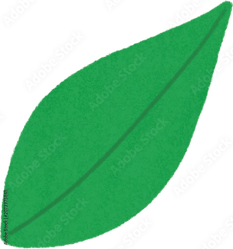 Leaf