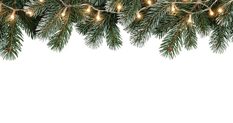 Christmas pine branches with warm fairy lights on transparent