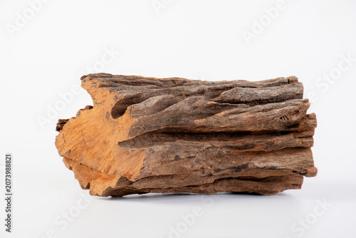 Driftwood isolated on white background, old wood