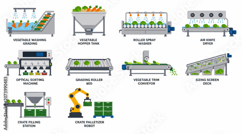 Photos Industrial vegetable processing machinery and automation systems.