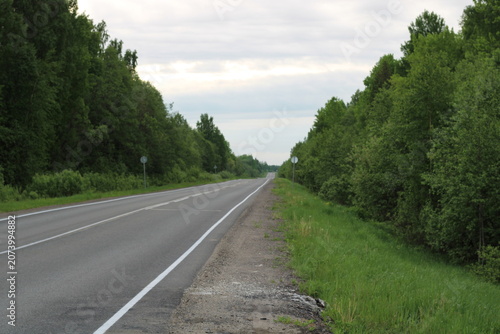 forest roadside, journey, highway, day,
