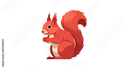 Red Squirrel Cartoon Animal Illustration.