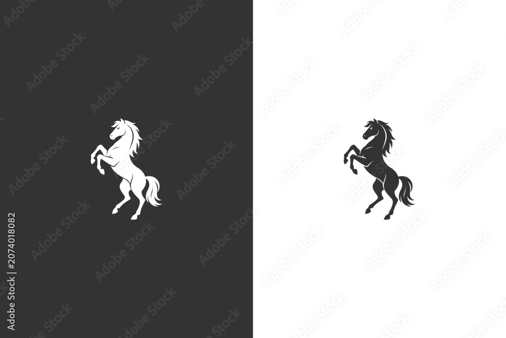 Fototapeta premium Silhouette of a Rearing Horse on Dark Background with Light and Shadow Contrast