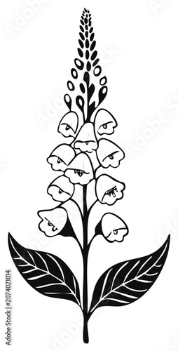 Black and White Foxglove Flower Illustration Botanical Art Simple Single Stem Bloom Medicinal Plant Nature Drawing