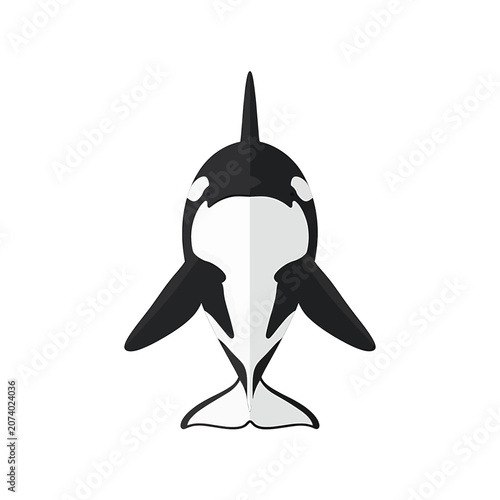 Quadro su tela Black and white orca whale illustration.
