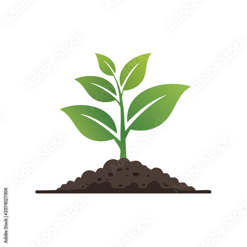 Young plant growing from soil, flat vector illustration