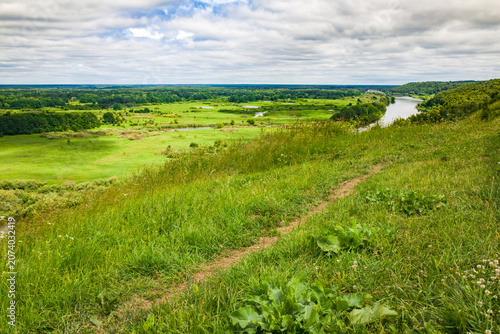 natural landscape with green grass and blue sky